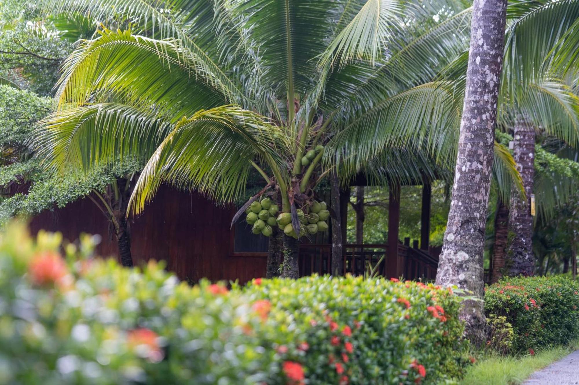 Mafiya Resort Thansour beach Екстер'єр фото